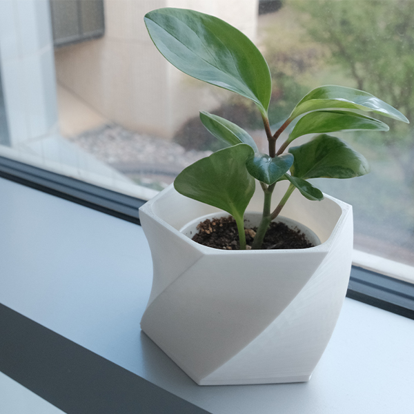 Plant in 3D printed pot made from recycled materials.